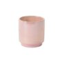 Passion Pot 6″ – Pink